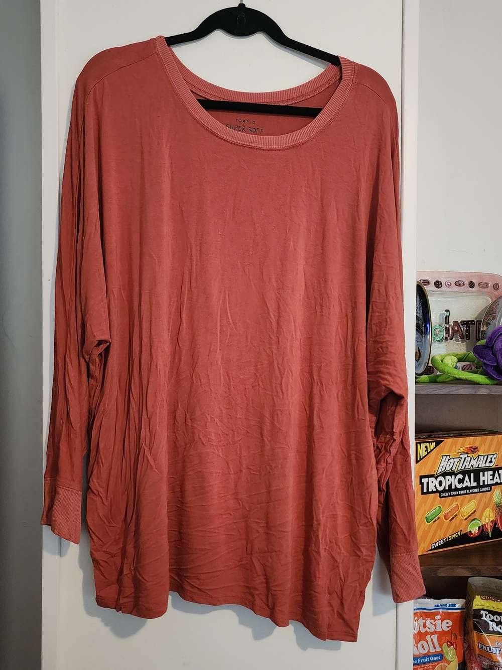 torrid Rust Crewneck Long-Sleeve Tee